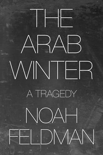 The Arab Winter: A Tragedy von Princeton University Press